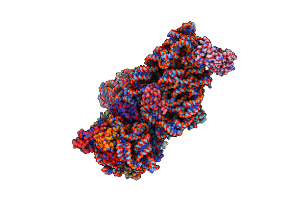 5X8R image