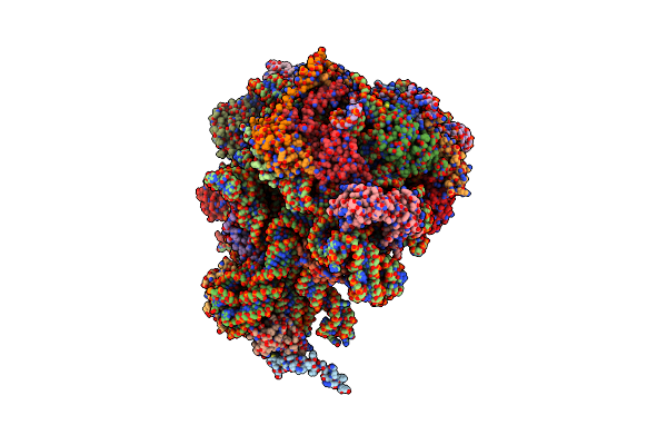 5X8T image