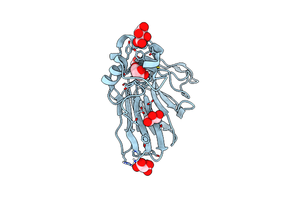 5X9L image