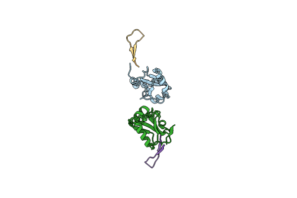 5XAD image