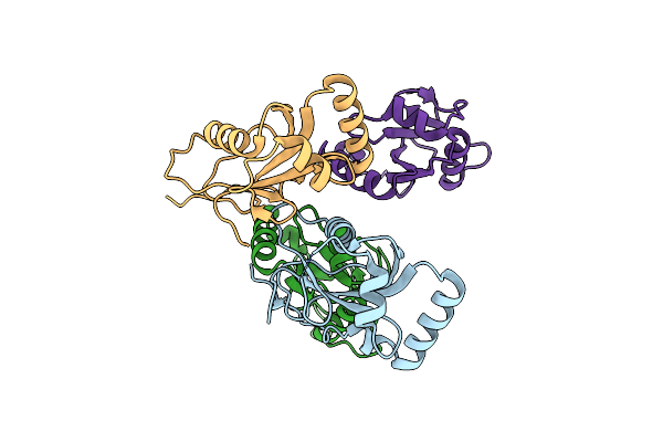 5XAE image