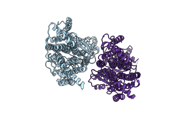 5XAM image