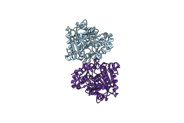 5XAV image