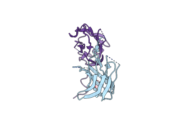 5XAX image