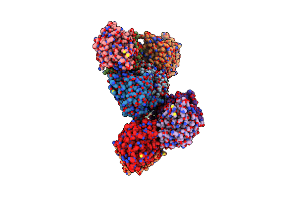 5XB6 image