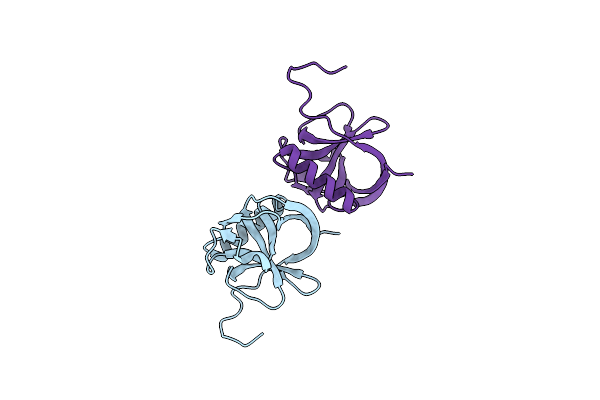 5XBC image