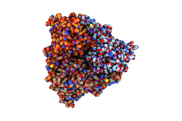 5XBP image