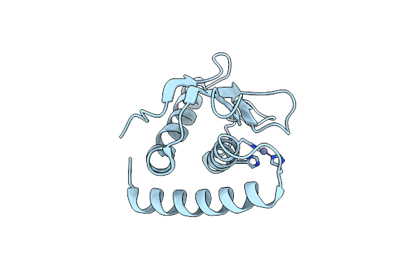 5XBV image