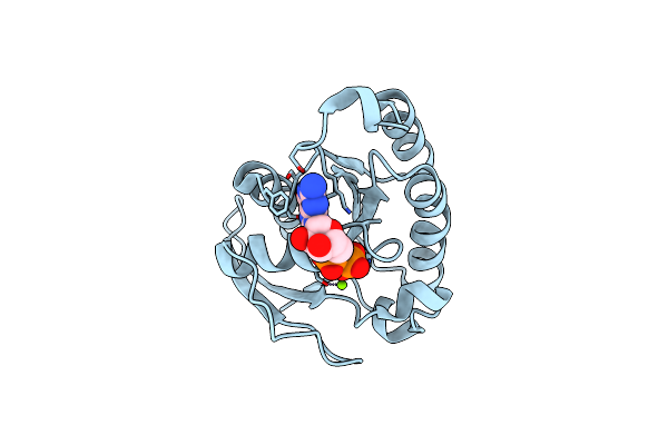 5XC3 image