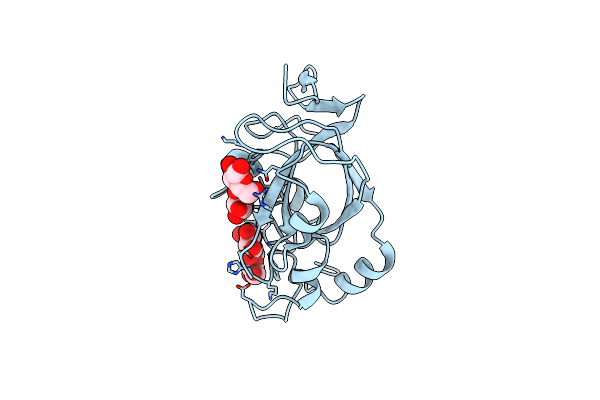 5XC4 image