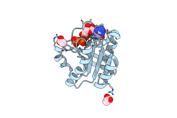 5XC5 image
