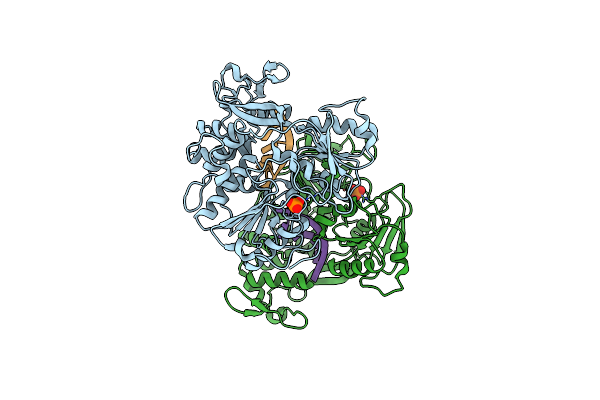 5XC6 image