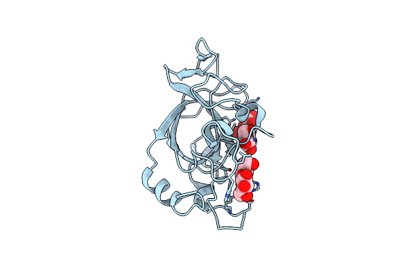 5XC8 image