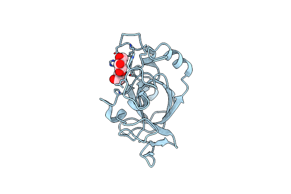 5XCA image