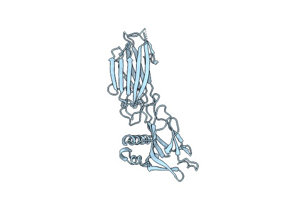 5XCB image