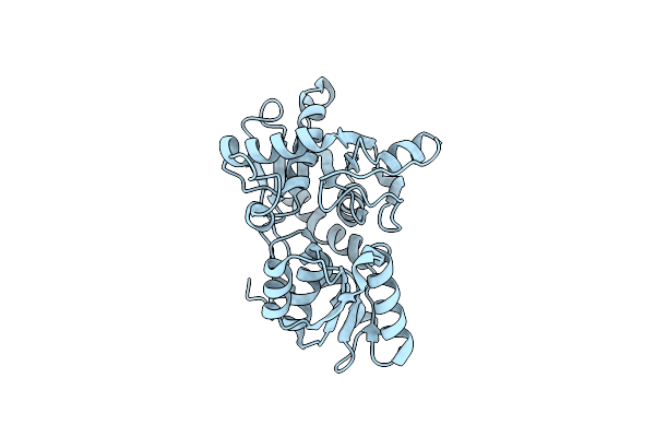 5XCN image