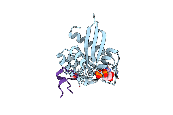 5XCO image