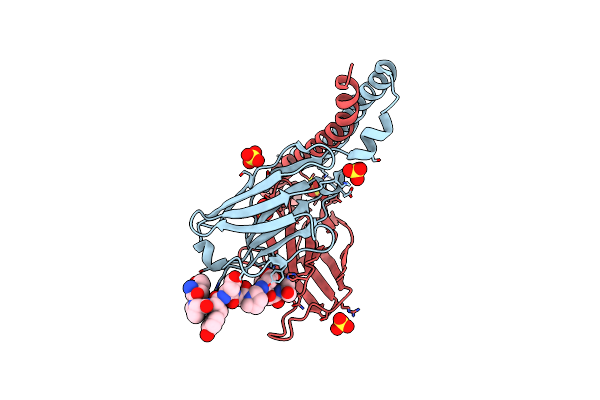 5XCS image