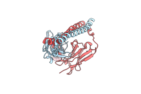 5XCT image