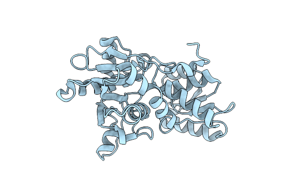 5XCW image