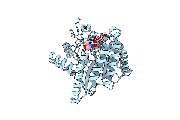 5XCZ image