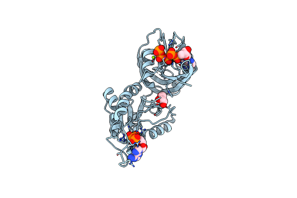 5XD1 image