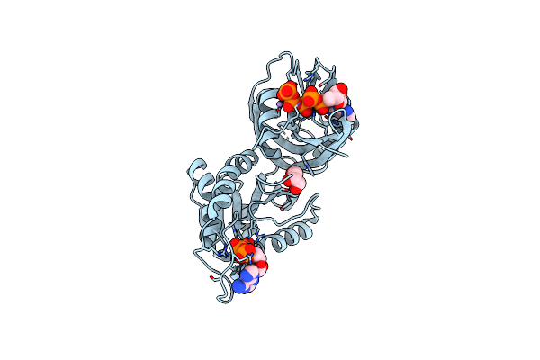 5XD2 image
