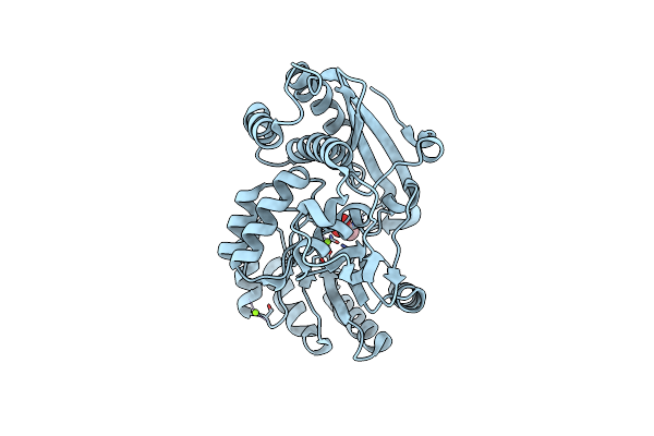 5XD7 image