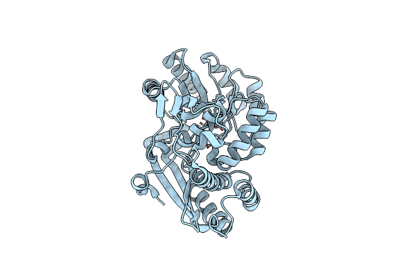 5XD9 image