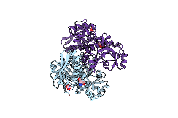 5XDF image