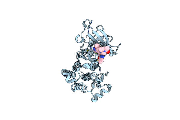 5XDK image