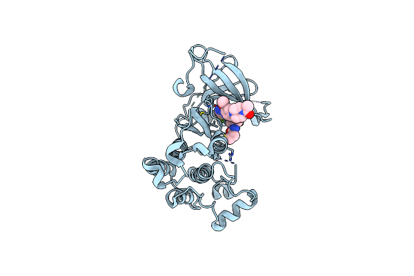 5XDL image