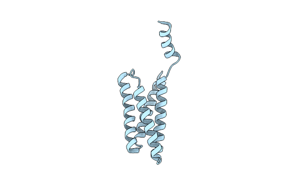 5XEF image