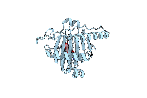 5XEG image
