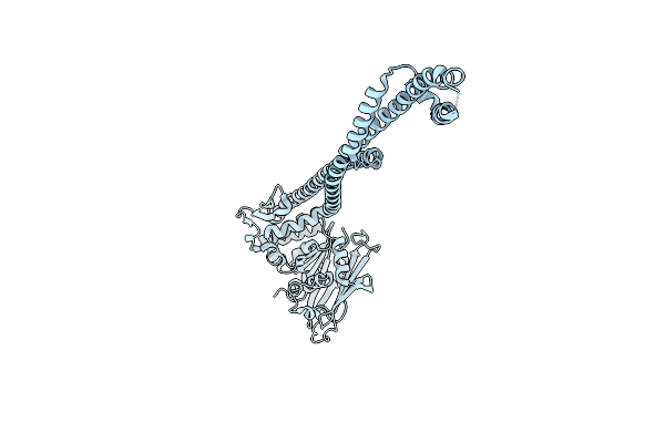 5XEI image