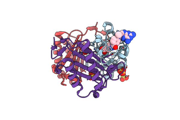 5XEJ image