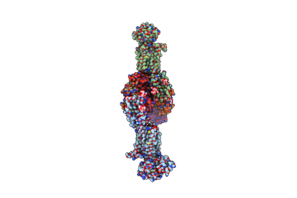 5XF1 image