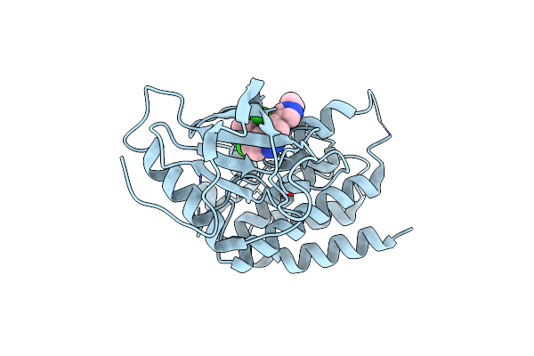 5XFF image