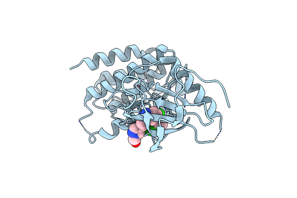 5XFJ image