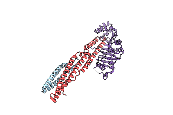 5XFS image