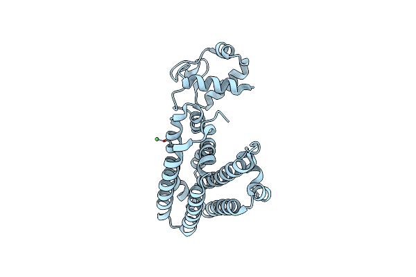 5XGF image
