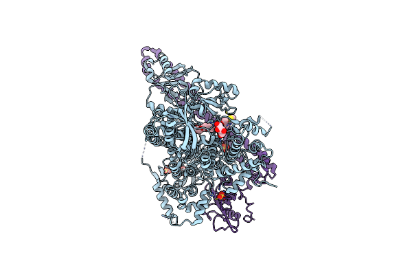 5XGI image