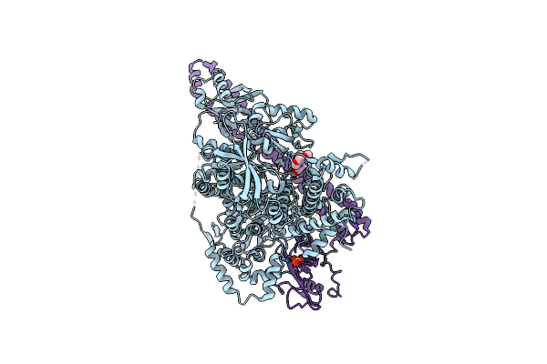 5XGJ image