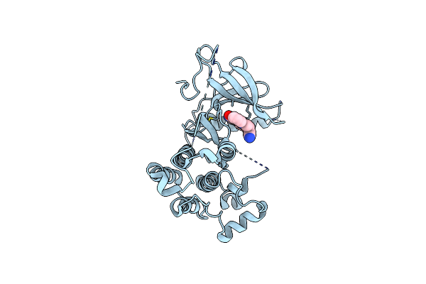 5XGM image