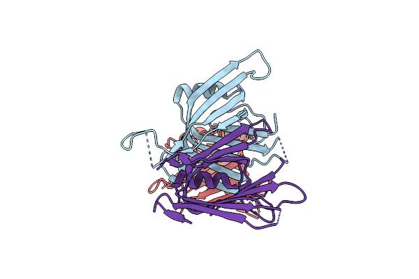 5XHH image