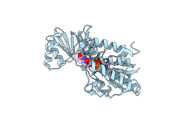 5XHU image