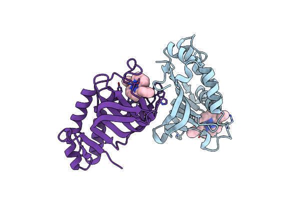 5XIB image