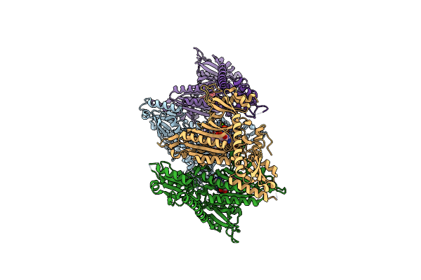 5XIG image