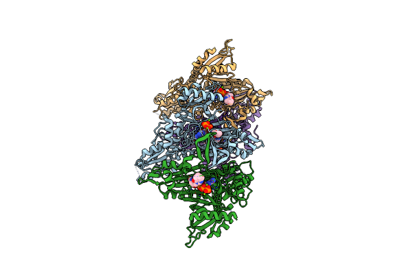 5XIK image