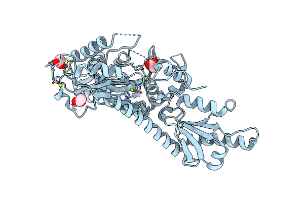 5XIL image